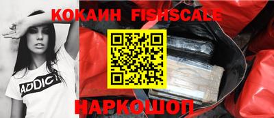 эйфоретик Берёзовский